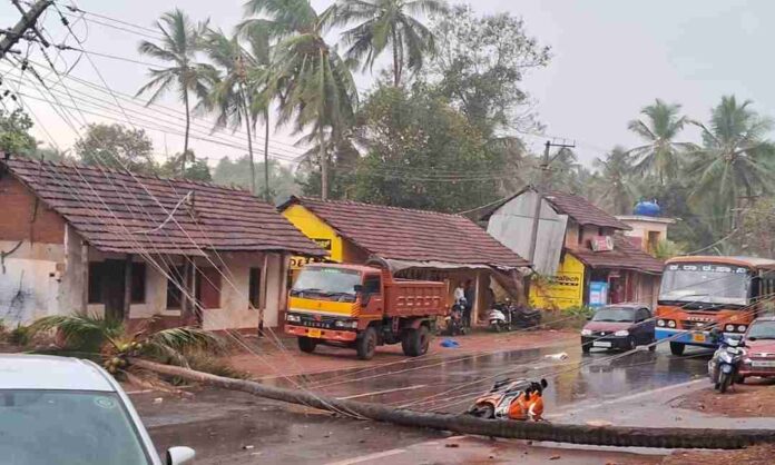 ಭಾರೀ ಮಳೆಗೆ ನೆಲಕ್ಕರುಳಿದ ಮರ