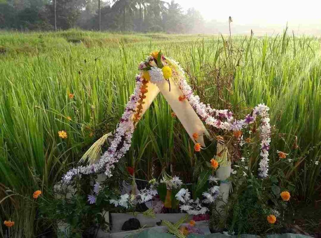 ಭೂಮಿ ಹುಣ್ಣಿಮೆ 1