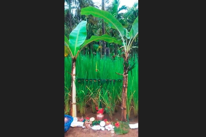 ಭೂಮಿ ಹುಣ್ಣಿಮೆ 5