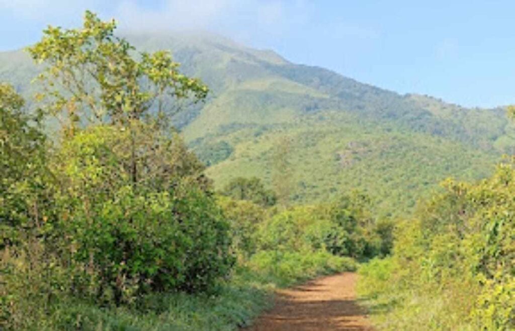 ಮಡಿಕೇರಿ ಶುದ್ಧ ಗಾಳಿ 2