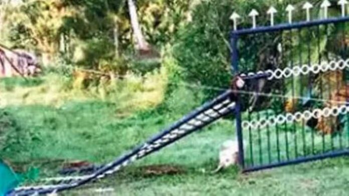 ಕಾಡಾನೆ ದಾಳಿ ಮಾಡಿ ಮನೆಯ ಮುಂದಿನ ಗೇಟ್‌ ಮುರಿದಿದೆ