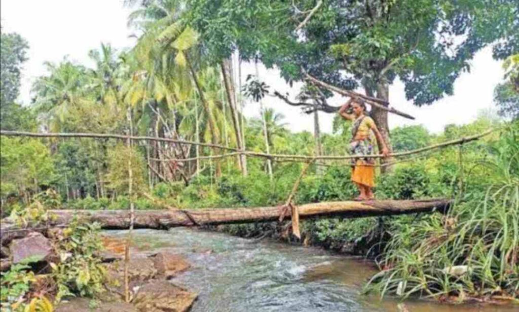 ಮರದ ದಿಮ್ಮಿ 1
