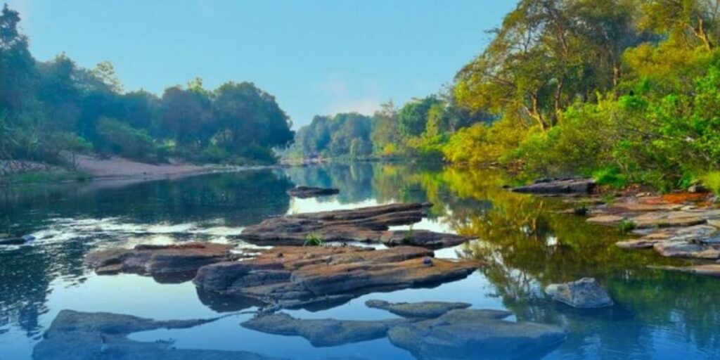 ಮಹದಾಯಿ ನದಿ