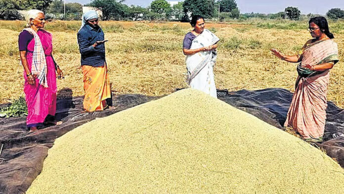 ಬರಪೀಡಿತ ಪ್ರದೇಶ, ಕೃಷಿ ಪುನರುಜ್ಜೀವನ, ವಿಧವೆಯರು, ಒಂಟಿ ಮಹಿಳೆಯರು, ಅನಂತಪುರ, Drought-hit areas, agricultural revival, widows, single women, Anantapur,
