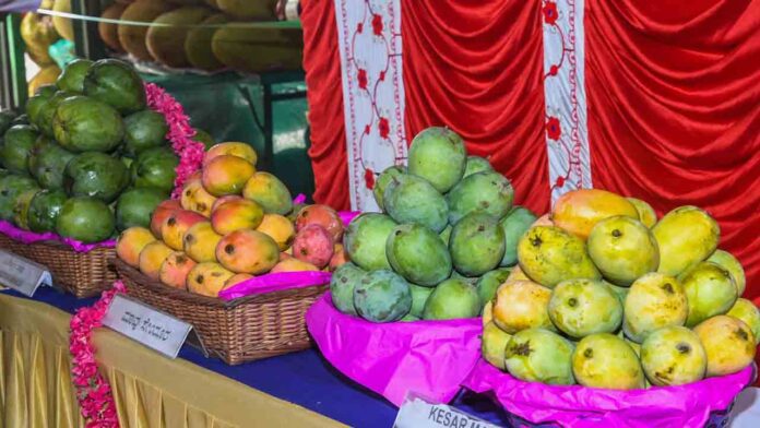 ಮಾವಿನ ಮೇಳ