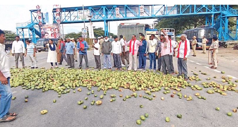 ಮಾವು ಬೆಳೆಗಾರರ ಪ್ರತಿಭಟನೆ