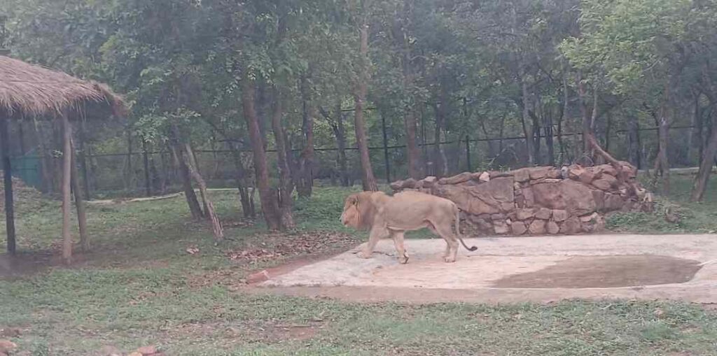 ಮೃಗಾಲಯ 2