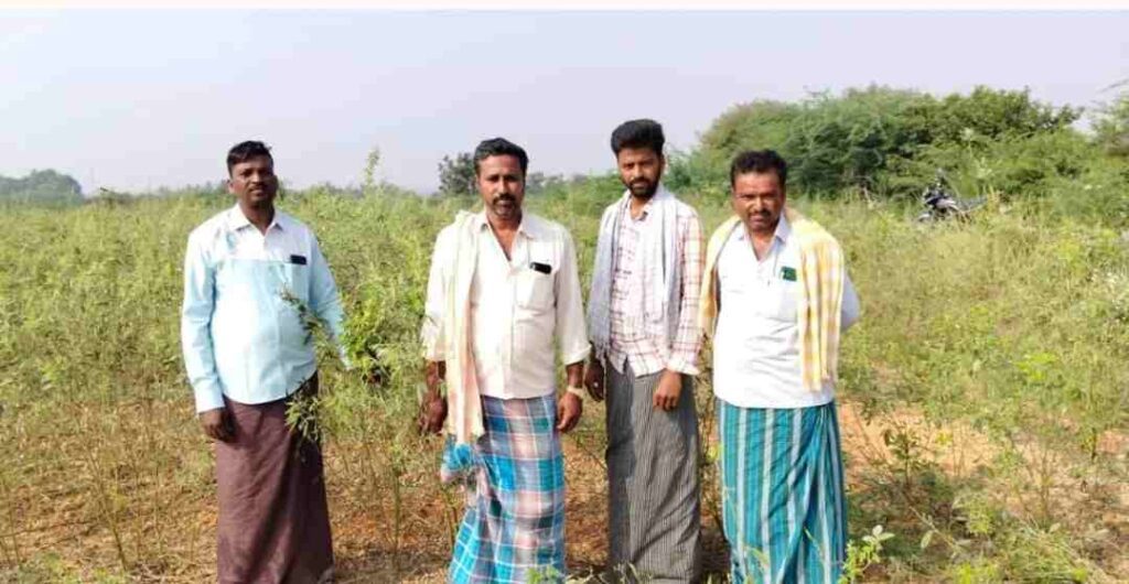 ಮೇ. ಆಗ್ರೋ ಸೀಡ್ಸ್‌ ಕಾರ್ಪೊರೇಷನ್ 1
