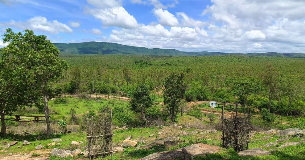 ಮೈಸೂರು 15