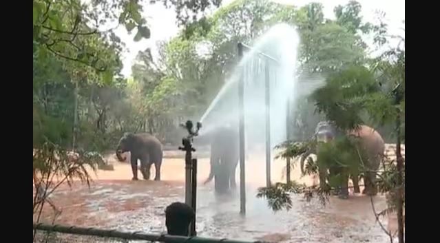 ಮೈಸೂರು ಮೃಗಾಲಯ