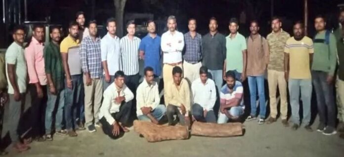 ರಕ್ತಚಂದನ ಅಕ್ರಮ ಸಾಗಾಟ