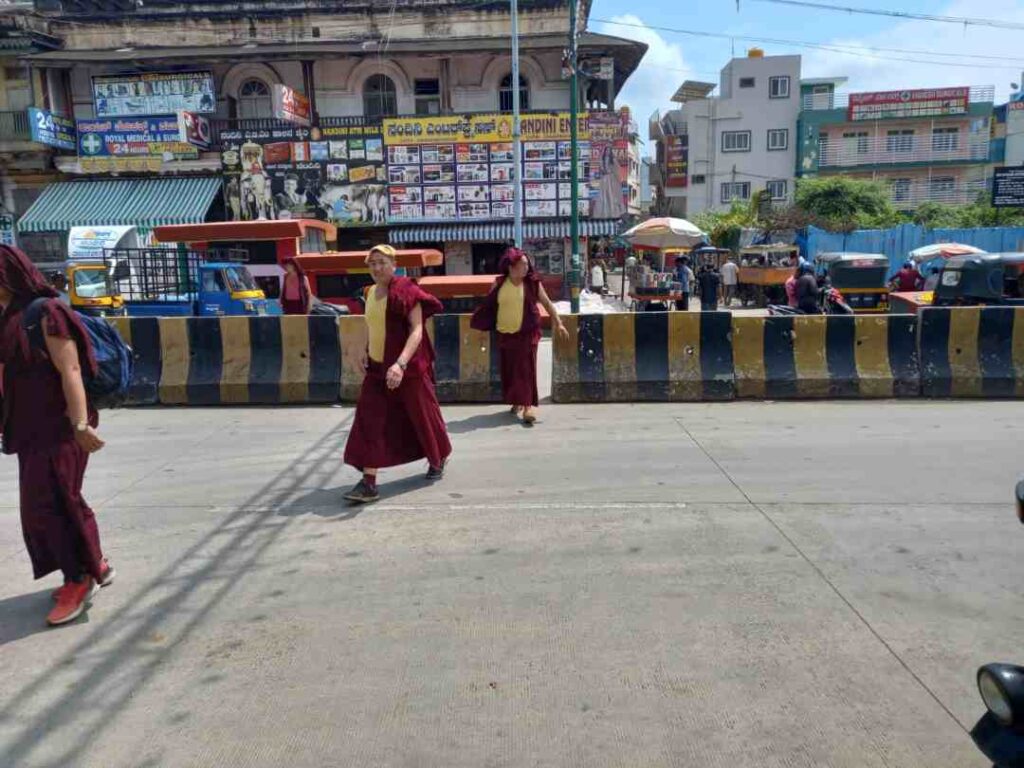ರಸ್ತೆ ದಾಟುವುದು