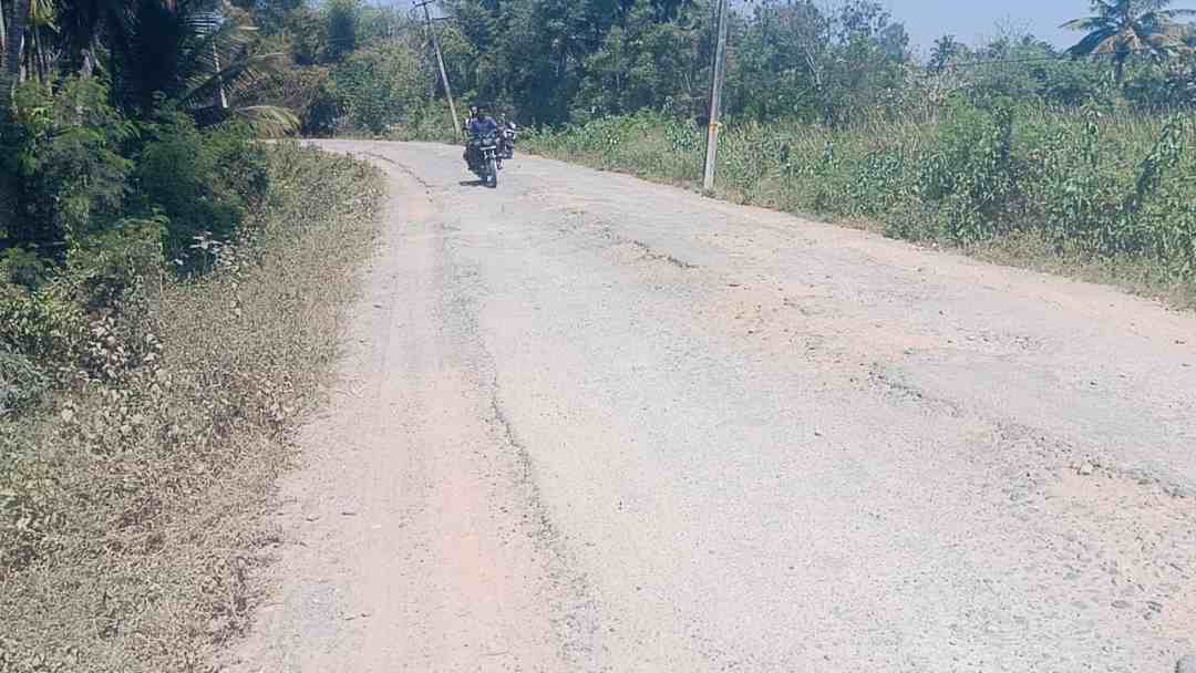 ರಸ್ತೆ ದುರಸ್ತಿ 1