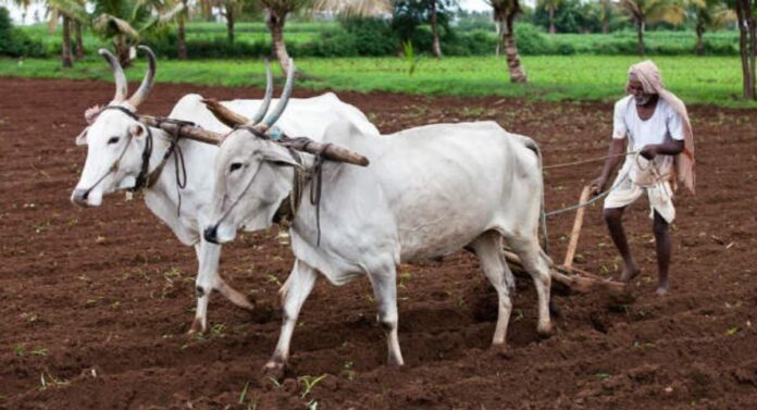 ಬಜೆಟ್