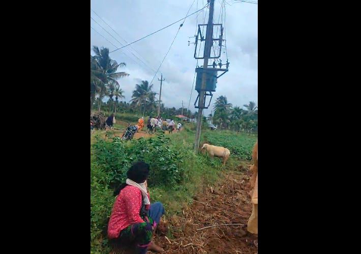 ರೈತರ ನೋವು