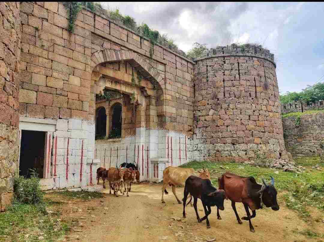 ವನದುರ್ಗ