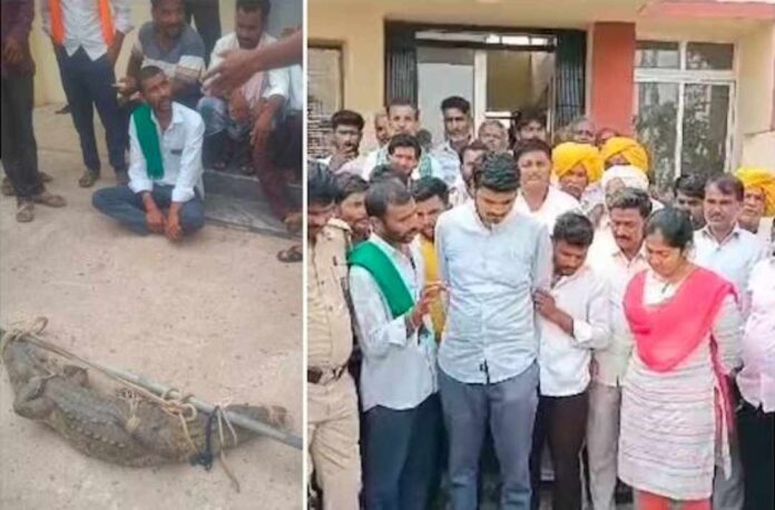 ವಿದ್ಯುತ್‌ ವಿತರಣಾ ಕೇಂದ್ರಕ್ಕೆ ಮೊಸಳೆ ಬಿಟ್ಟ ರೈತರು