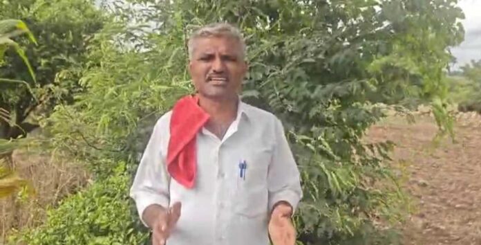 ಶರಣಬಸಪ್ಪ ಮಮಶೆಟ್ಟಿ