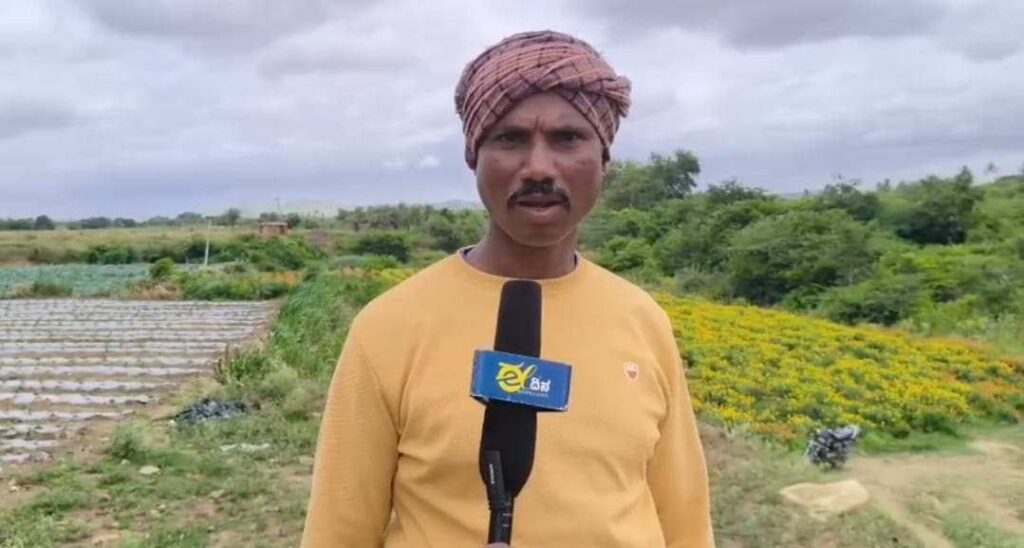 ಶಿಡ್ಲಘಟ್ಟ ಈರುಳ್ಳಿ ಬೆಳೆಗಾರರು 1