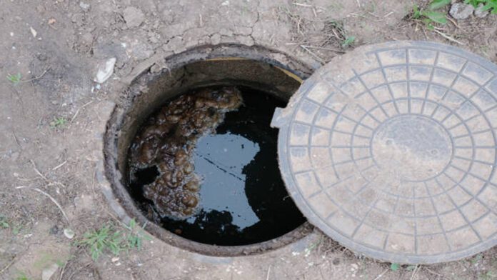 ಶೌಚ ಗುಂಡಿ