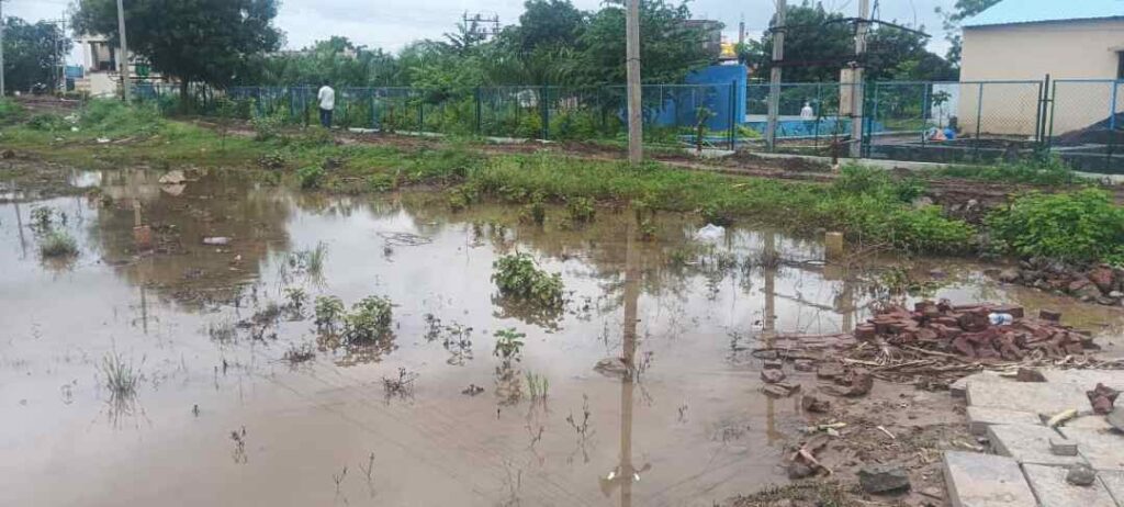 ಸಾಲು ಮರದ ತಿಮ್ಮಕ್ಕ ಪಾರ್ಕ್‌ಗೆ ಹೋಗುವ ದಾರಿ
