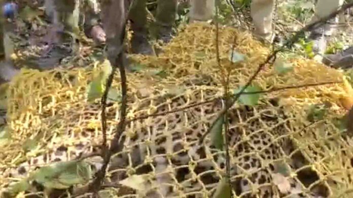 ಸಾವು