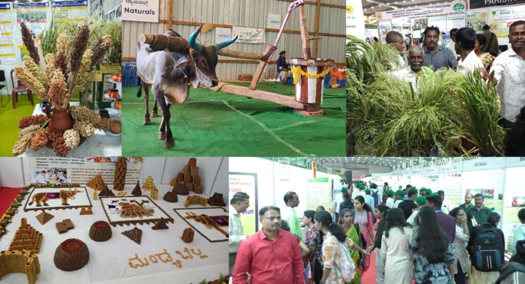 ಸಿರಧಾನ್ಯ ಮೇಳ