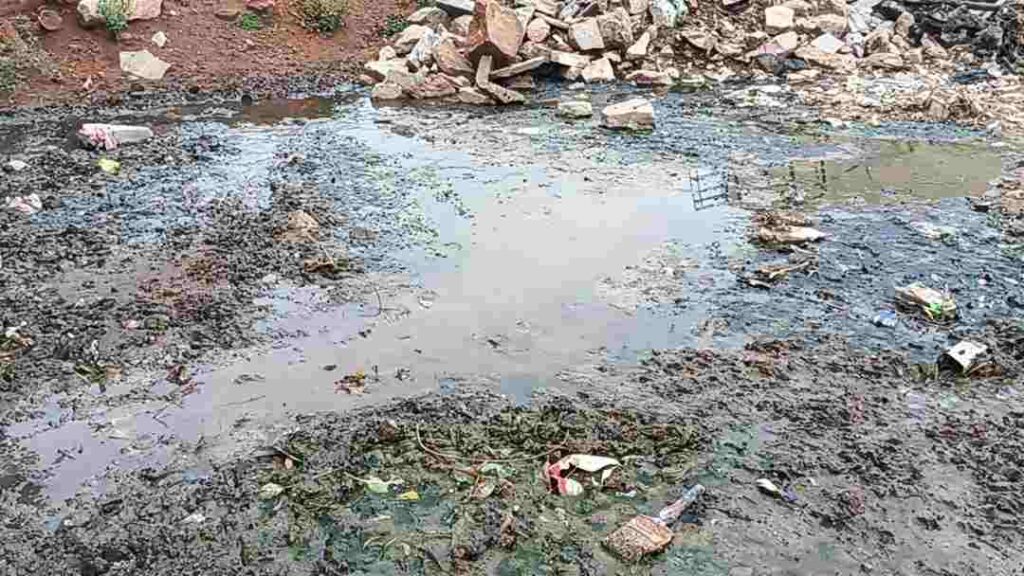 ಸೋಮನಾಳ 2