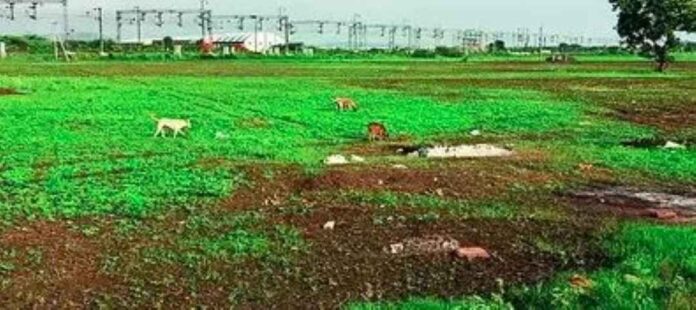 ಸ್ಮಶಾನ ಭೂಮಿಗೆ ಪರದಾಟ