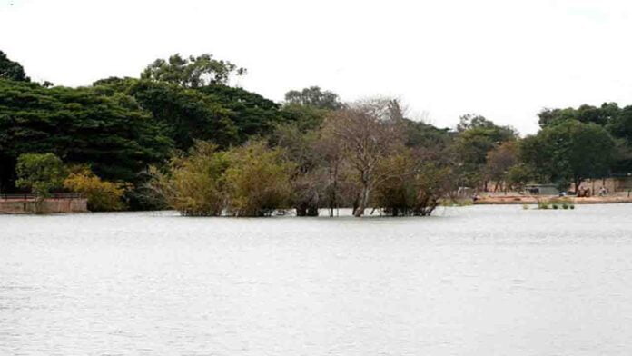 ಸ್ಯಾಂಕಿ ಕೆರೆ