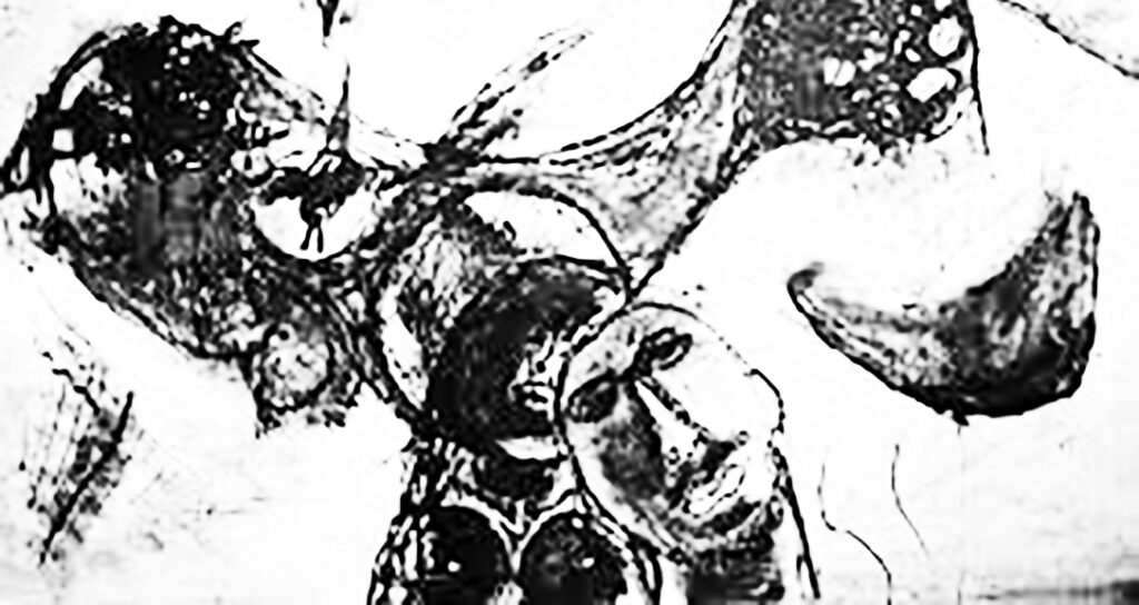 ಹ.ಪೀ.ಜೋಶಿ ಕಿಚ್ಚಿನ ಸವಾಲು3