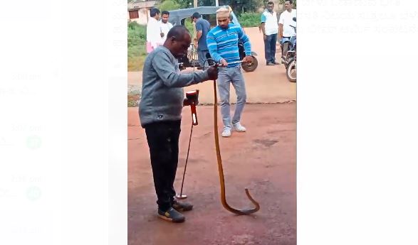 ಹಾವು ಪ್ರತ್ಯಕ್ಷ