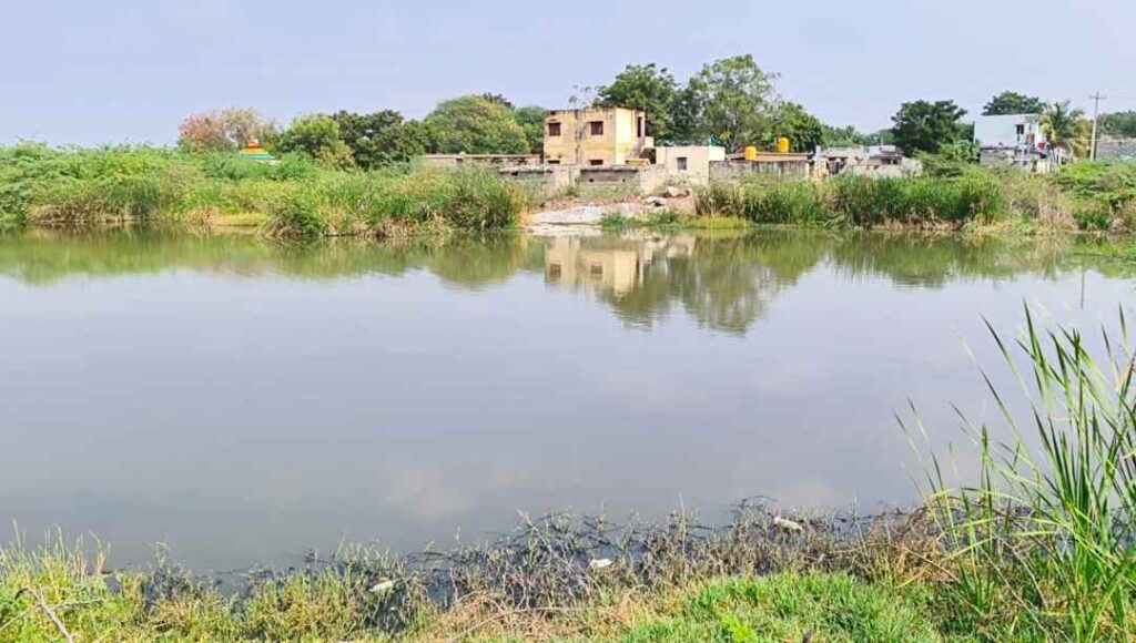 ಹೇಮನಾಳ ಗ್ರಾಮದ ಸ್ಥಿತಿ 1