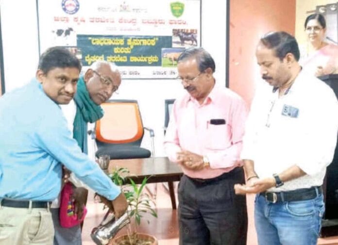 ಹೈನುಗಾರಿಕೆ